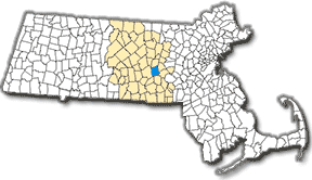 Shrewsbury Town's Surge Reignites Takeover Interest: The CEO View